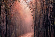 科贝尔：乔布和祖德某些方面确实很像，但在比赛中也截然不同