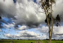 科贝尔：乔布和祖德某些方面确实很像，但在比赛中也截然不同