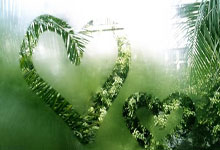 科贝尔：乔布和祖德某些方面确实很像，但在比赛中也截然不同