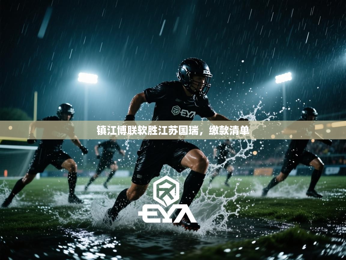 镇江博联软胜江苏国瑞，缴款清单  第1张