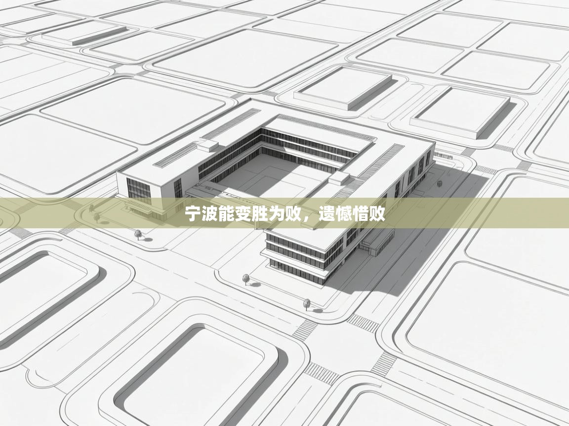 宁波能变胜为败,遗憾惜败 第2张
