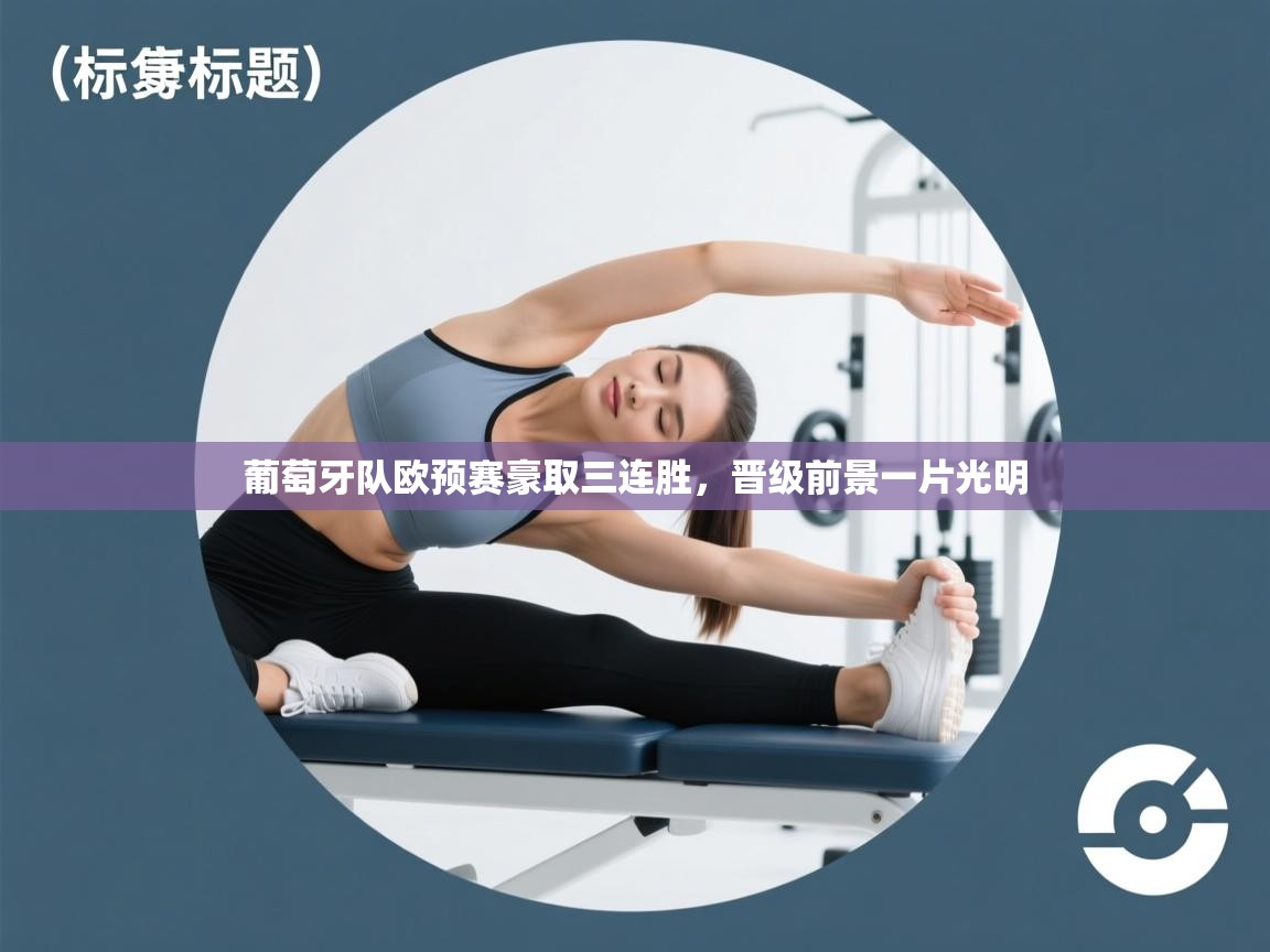 葡萄牙队欧预赛豪取三连胜,晋级前景一片光明 第2张